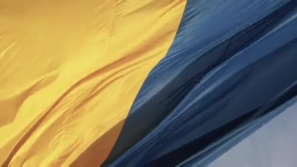Вертикальне відео Національний прапор України. Вид з повітря. — стокове відео