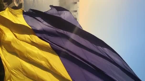 Video verticale Bandiera nazionale dell'Ucraina. Vista aerea. — Video Stock