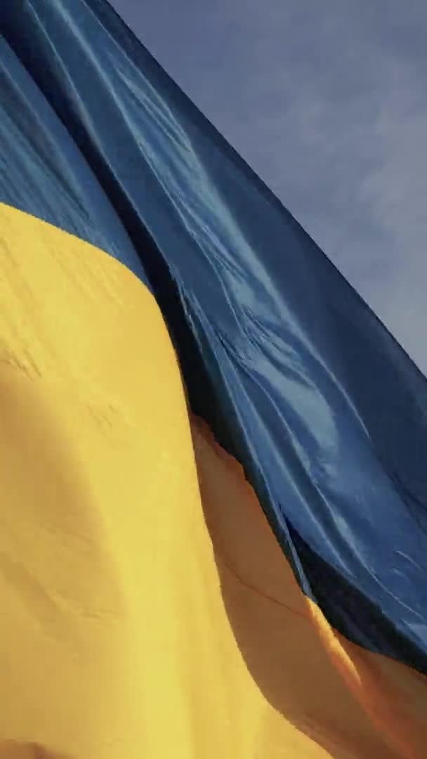 Vidéo verticale drapeau national de l'Ukraine. Vue aérienne. — Video