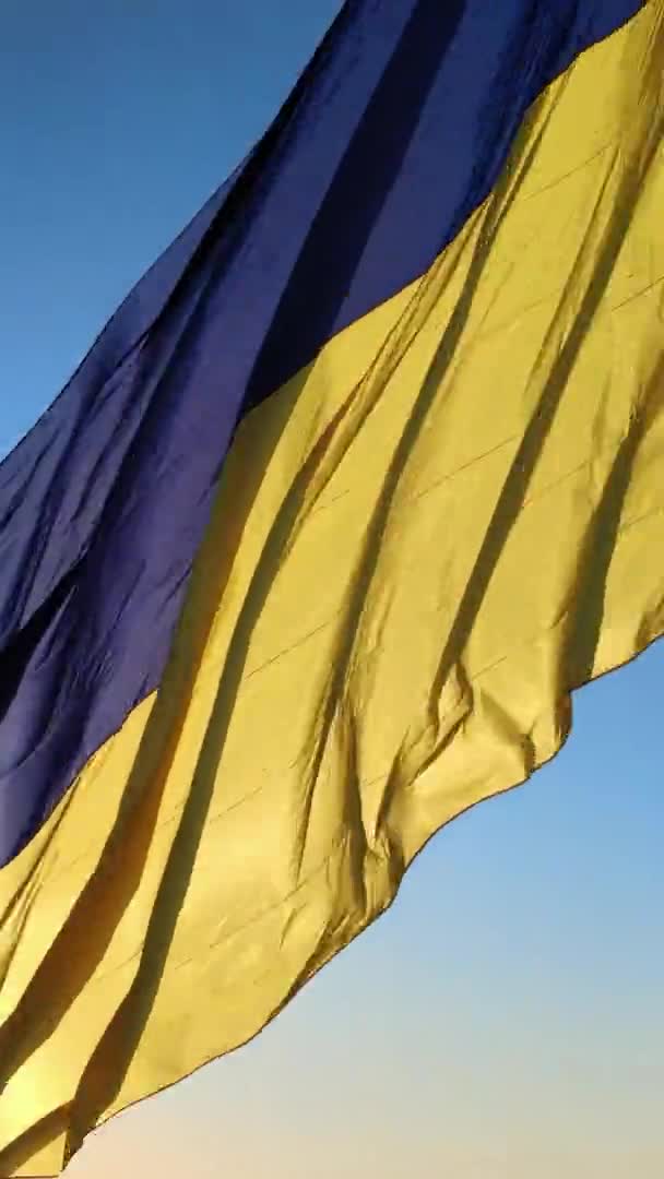 Vertikales Video Nationalflagge der Ukraine. Luftaufnahme. — Stockvideo