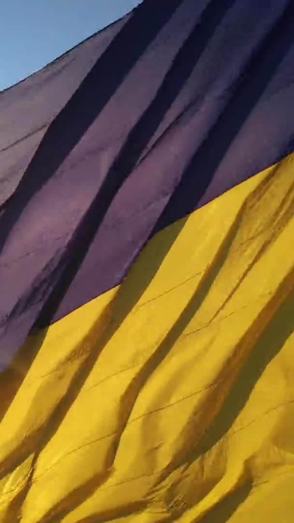 Vídeo vertical Bandeira nacional da Ucrânia. Vista aérea. — Vídeo de Stock