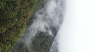 Dağlardaki sisin dikey videosu