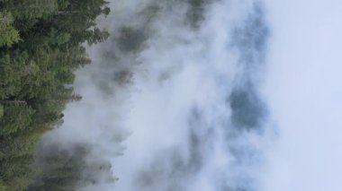 Dağlardaki sisin dikey videosu