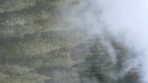 Vertikal video av dimma i bergen — Stockvideo