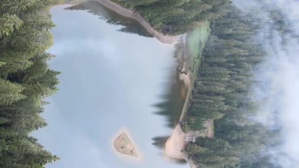 Vertical video mountain lake Synevyr. Vista aérea de las montañas Cárpatos en otoño. Ucrania — Vídeos de Stock