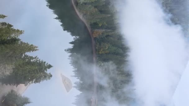 垂直录像山湖Synevyr 。秋天喀尔巴阡山脉的空中景观.乌克兰 — 图库视频影像
