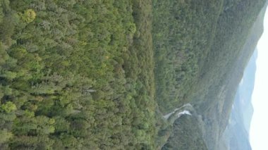 Dikey video Carpathian Dağları. Ukrayna