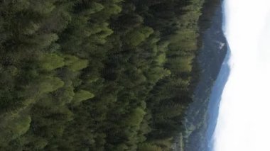 Dikey video Carpathian Dağları. Ukrayna