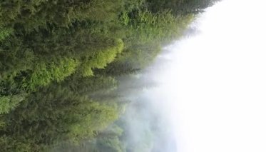 Dikey video Carpathian Dağları. Ukrayna