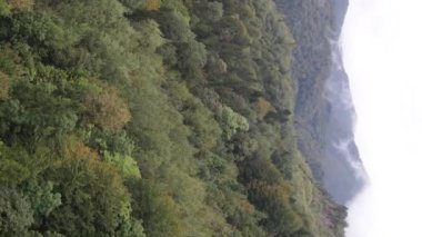 Dikey video Carpathian Dağları. Ukrayna