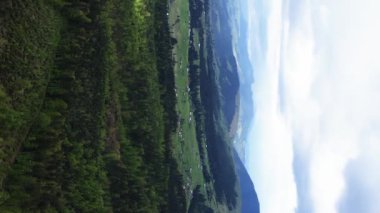 Dikey video Carpathian Dağları. Ukrayna