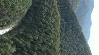 Dikey video Carpathian Dağları. Ukrayna