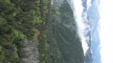 Dikey video Carpathian Dağları. Ukrayna