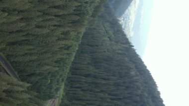 Dikey video Carpathian Dağları. Ukrayna