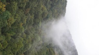 Dikey video Carpathian Dağları. Ukrayna