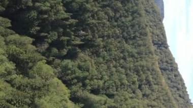 Dikey video Carpathian Dağları. Ukrayna