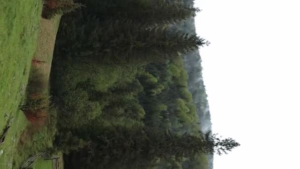 Függőleges videó Kárpát-hegység. Ukrajna — Stock videók