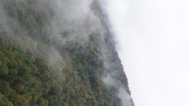 Dikey video Carpathian Dağları. Ukrayna