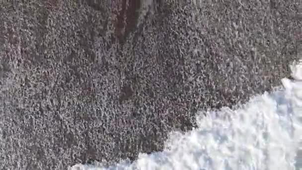 Vertical video sea near the coast - close-up of the coastal seascape. Slow motion — Stock Video