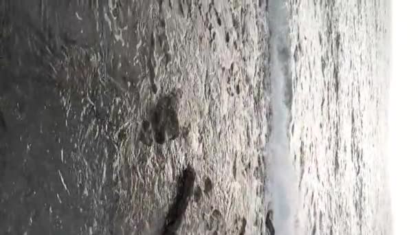 किनारपट्टीजवळ अनुलंब व्हिडिओ समुद्र किनारपट्टीवरील सीसकेप बंद. हळू चळवळ — स्टॉक व्हिडिओ