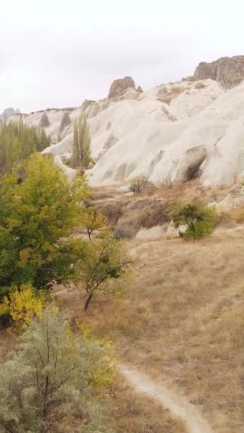 Capadócia vista aérea paisagem. A Turquia. Parque Nacional Goreme. Vídeo vertical — Vídeo de Stock