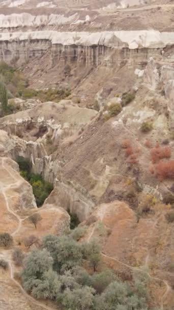 Kappadokien Landschaft Luftaufnahme. Türkei. Goreme-Nationalpark. Vertikales Video — Stockvideo