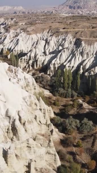 Kappadokien landskap antenn utsikt. Turkiet. Goreme National Park. Vertikal video — Stockvideo