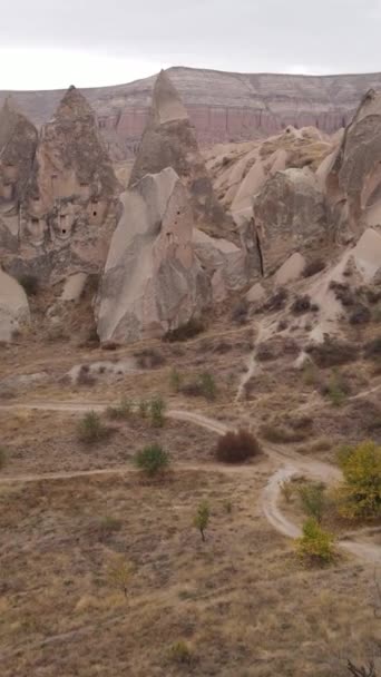 Capadocia vista aérea del paisaje. Pavo. Parque Nacional Goreme. Vídeo vertical — Vídeo de stock