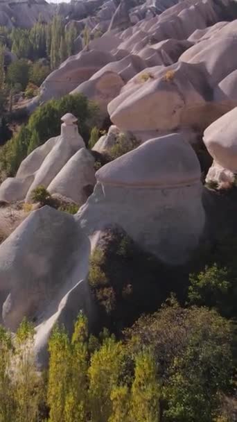 Cappadocia paesaggio vista aerea. Tacchino. Parco nazionale di Goreme. Video verticale — Video Stock