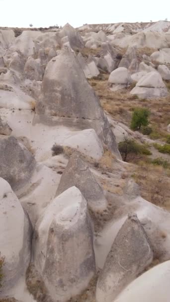 Capadócia vista aérea paisagem. A Turquia. Parque Nacional Goreme. Vídeo vertical — Vídeo de Stock