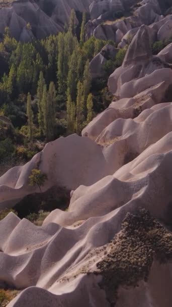 Cappadocië landschap uitzicht vanuit de lucht. Turkije. Nationaal park Goreme. Verticale video — Stockvideo