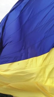 Gündüz Ukrayna 'nın dikey ulusal bayrağı. Hava görünümü.
