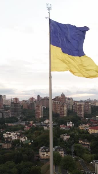 Video verticale Bandiera nazionale dell'Ucraina di giorno. Vista aerea. — Video Stock