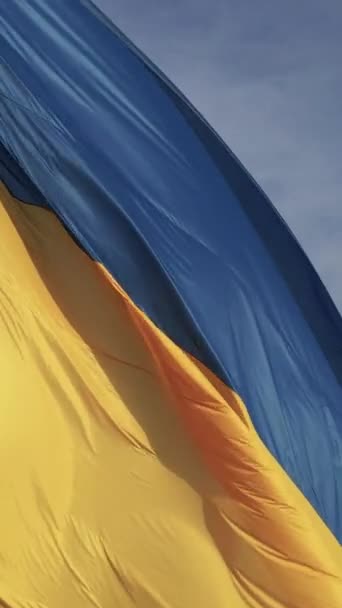 Vídeo vertical Bandeira nacional da Ucrânia por dia. Vista aérea. — Vídeo de Stock