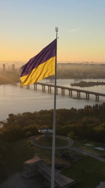 Vídeo vertical Bandera nacional de Ucrania por día. Vista aérea. — Vídeos de Stock
