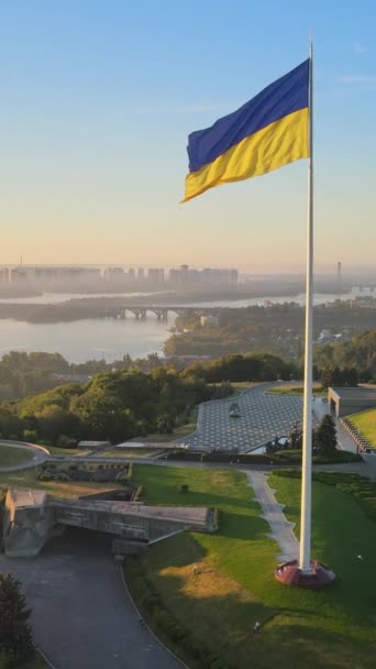 Vídeo vertical Bandeira nacional da Ucrânia por dia. Vista aérea. — Vídeo de Stock