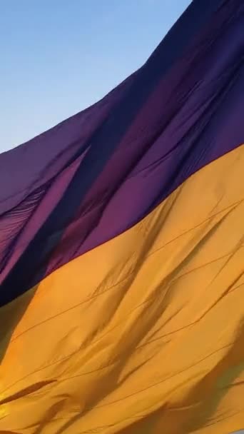 Vídeo vertical Bandera nacional de Ucrania por día. Vista aérea. — Vídeos de Stock