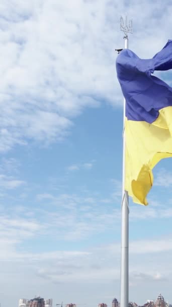 垂直ビデオウクライナの国旗を一日ずつ。空中風景. — ストック動画