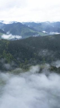 Dağlardaki sisin dikey videosu