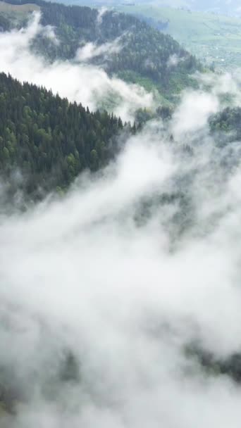 山中雾气的垂直录像 — 图库视频影像