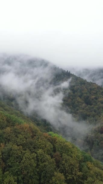 Verticale video van mist in de bergen — Stockvideo