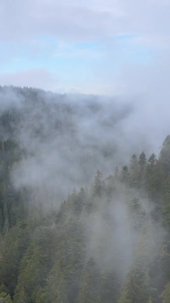 Vídeo vertical de niebla en las montañas — Vídeo de stock