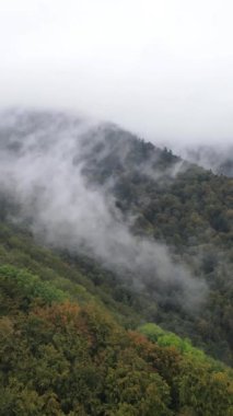 Dağlardaki sisin dikey videosu