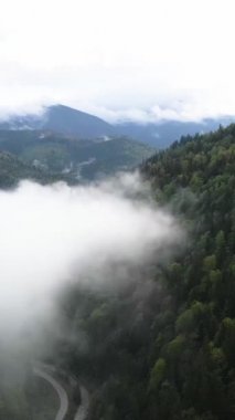 Dağlardaki sisin dikey videosu