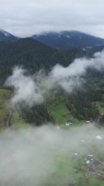 Dağlardaki sisin dikey videosu