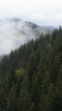 Dağlardaki sisin dikey videosu