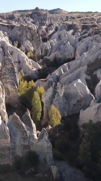 Widok z lotu ptaka na Cappadocia. Turcja. Park Narodowy Goreme. Pionowe wideo — Wideo stockowe