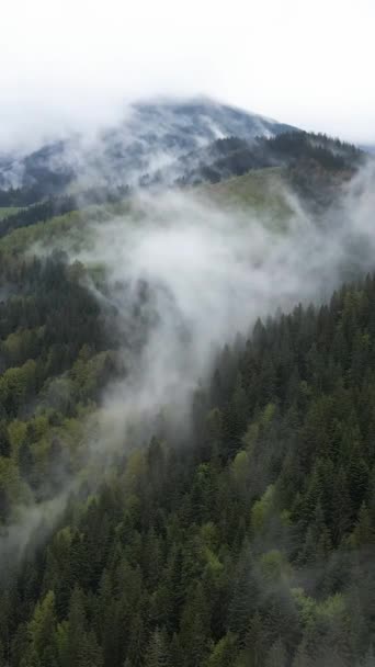 Κάθετο βίντεο ομίχλης στα βουνά — Αρχείο Βίντεο
