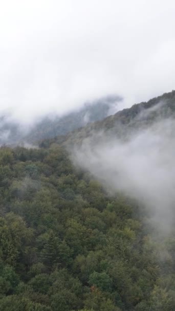 山の霧の垂直ビデオ — ストック動画