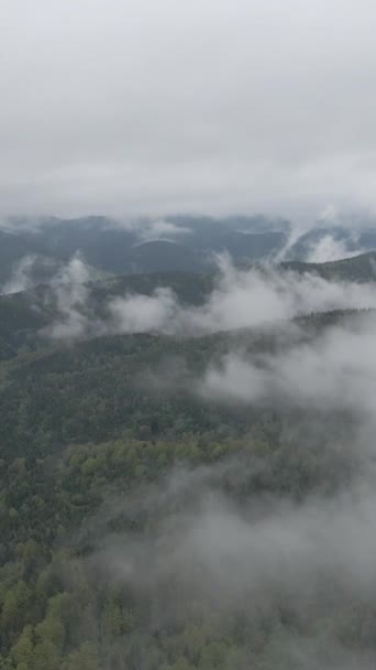 Vertical video of fog in the mountains — Stock Video